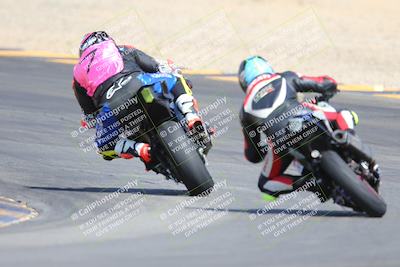 media/Mar-10-2024-SoCal Trackdays (Sun) [[6228d7c590]]/9-Turn 8 Backside (1150am)/